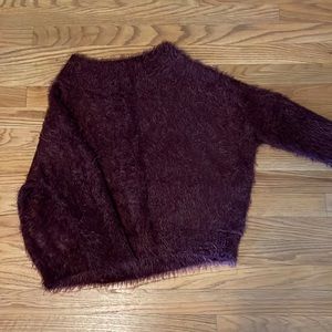 Express Small sweater